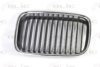 BMW 51138122237 Radiator Grille